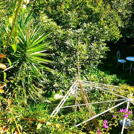 Les Petits Poissons Bed and Breakfast Αβινιόν Δωμάτιο φωτογραφία