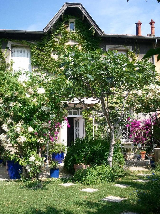 Les Petits Poissons Bed and Breakfast Αβινιόν Εξωτερικό φωτογραφία