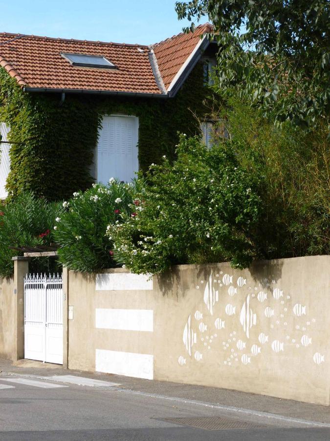 Les Petits Poissons Bed and Breakfast Αβινιόν Εξωτερικό φωτογραφία