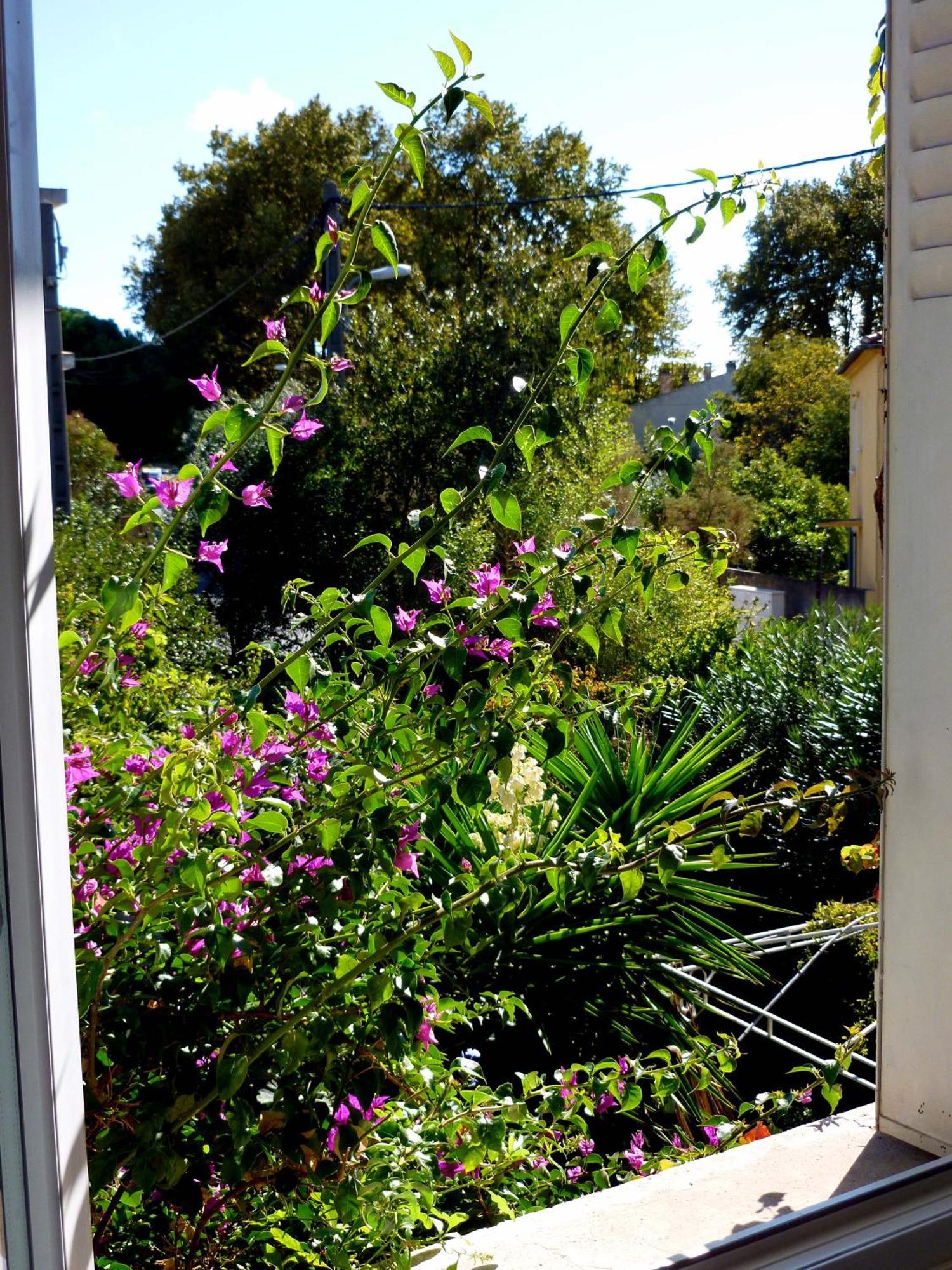 Les Petits Poissons Bed and Breakfast Αβινιόν Δωμάτιο φωτογραφία